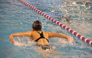 589194a1d7232_IMG6261.JPG