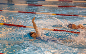 58c9bb53929d3_Nat215.jpg
