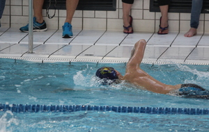 58e4a81acf5ce_IMG7017.JPG