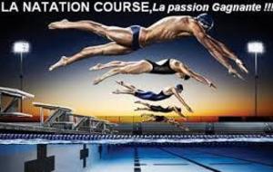 CHAMPIONNAT DE NORMANDIE MAITRES Cherbourg