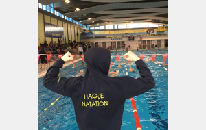 Championnat de La Manche Maîtres Open