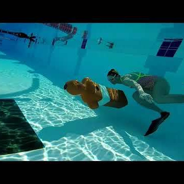 100m. Mannequin Palmes